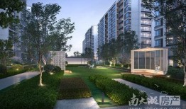 海月美学爆料最新消息,揭秘神秘新项目，引领时尚潮流新篇章